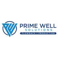 prime well solutions logo image