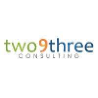 two9three consulting