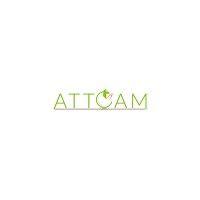 attcam consulting inc logo image