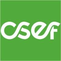 csef (college skateboarding educational foundation) logo image