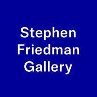 stephen friedman gallery logo image