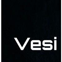 vesi capital logo image