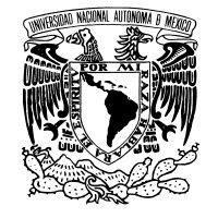 campus morelos unam logo image