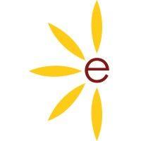 elektsolar innovations