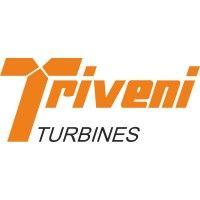 triveni turbine limited