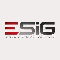 esig software e consultoria em ti logo image