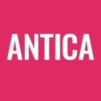 antica productions logo image