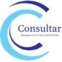 consultar for management services and training logo image