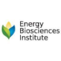 energy bioscience institute-university of illinois at urbana-champaign logo image