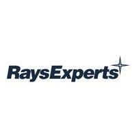 rays experts logo image