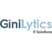 ginilytics it solutions logo image