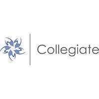 collegiate management services ltd logo image