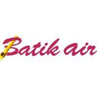 pt batik air indonesia logo image