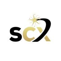 stellarcx consulting logo image