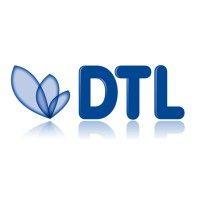 grupo dtl logo image