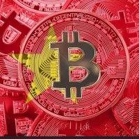 bitcoin beach vietnam logo image