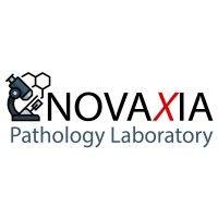 novaxia logo image