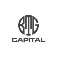 btg capital inc logo image