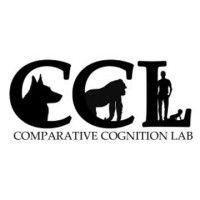 comparative cognition lab @uc san diego logo image