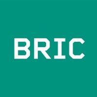 bric (arts & media in brooklyn)