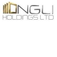 ngli holdings ltd. logo image