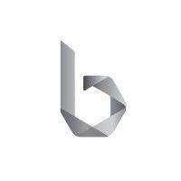 binarieslid logo image