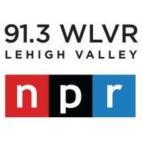 91.3 wlvr logo image