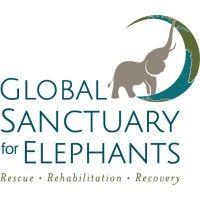 global sanctuary for elephants logo image