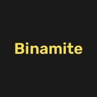 binamite logo image