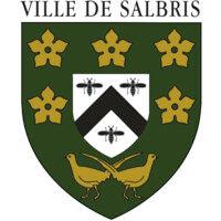 ville de salbris