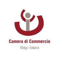 camera di commercio belgo-italiana | belgian-italian chamber of commerce logo image