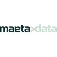 maetadata logo image