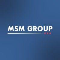 msm group logo image