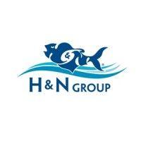 h & n group, inc. logo image