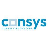 consys gmbh logo image