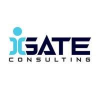 igate consulting logo image