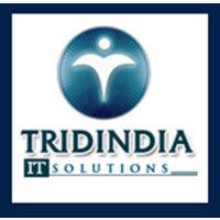 tridindia it solutions logo image