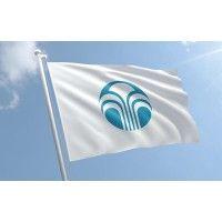 nu skin independent distributor logo image