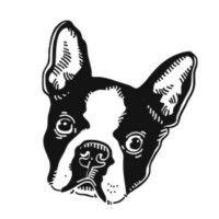 boston terrier society logo image