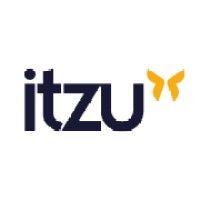 itzu group logo image