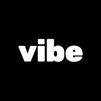 vibe logo image