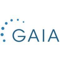 gaia mini systemes logo image