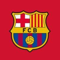 barça academy northern virginia logo image