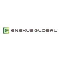 enexus global inc.