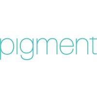 pigment logo image