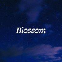 blossom & friends logo image