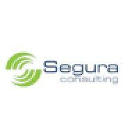 segura consulting