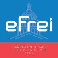 efrei - grande école du numérique logo image