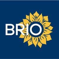 brio-medical logo image