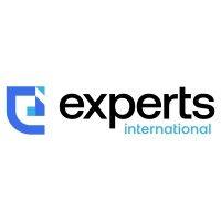 experts international software solutions logo image